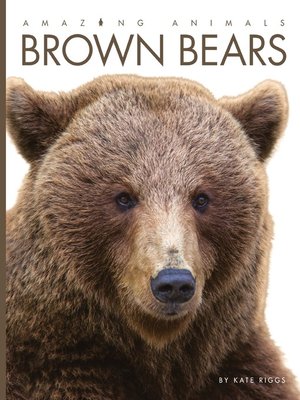 cover image of Brown Bears